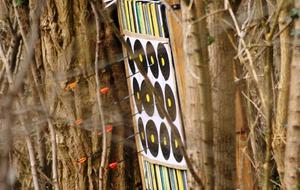 Tir en campagne  2013